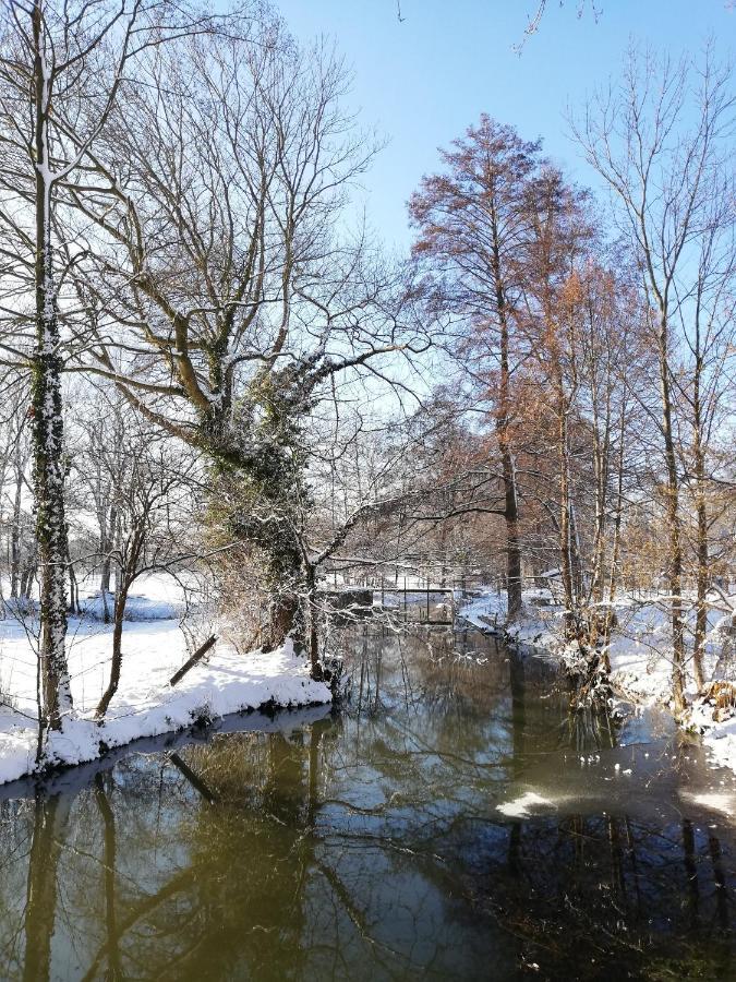 Gruener Wald Burg Kauper Exterior foto
